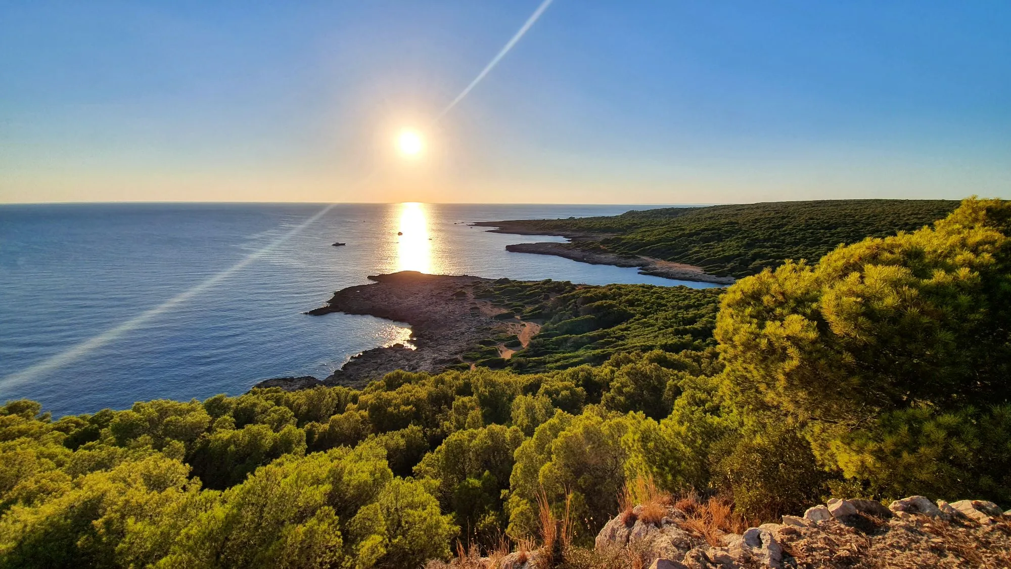 Paesaggio naturale di Porto Selvaggio tra pineta, scogliere e mare